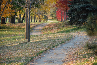 walking path along rte 45, vernon hills | simple pretty
