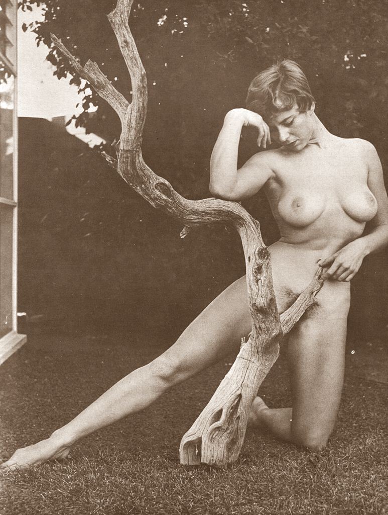 sex nevs riza hawkeye naked