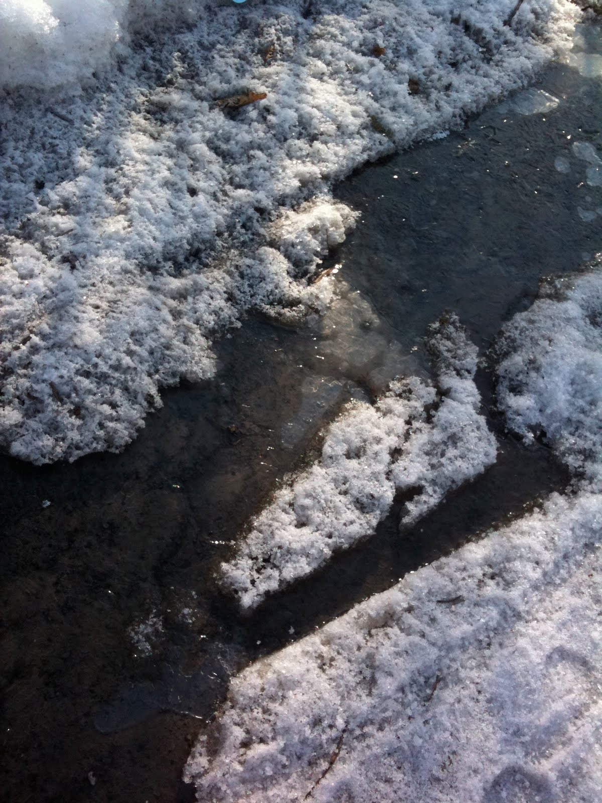 [IMG_0061.jpg]