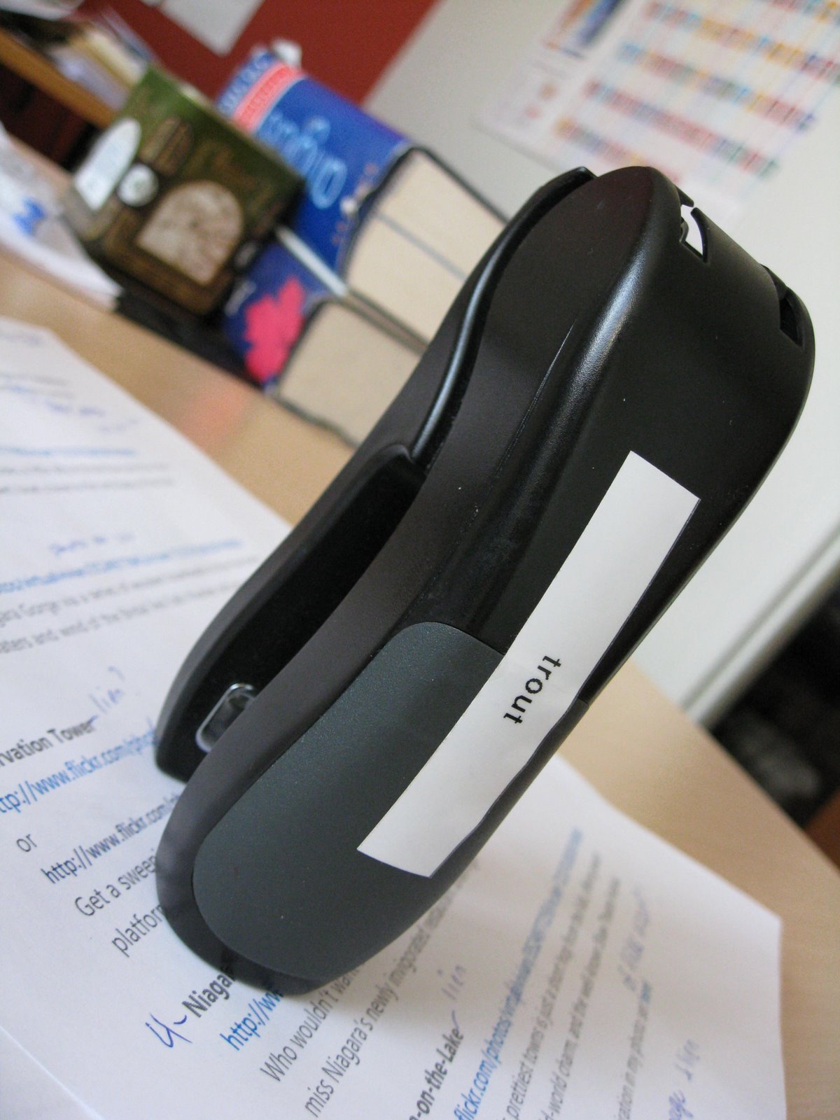 [More+blog+004.JPG]