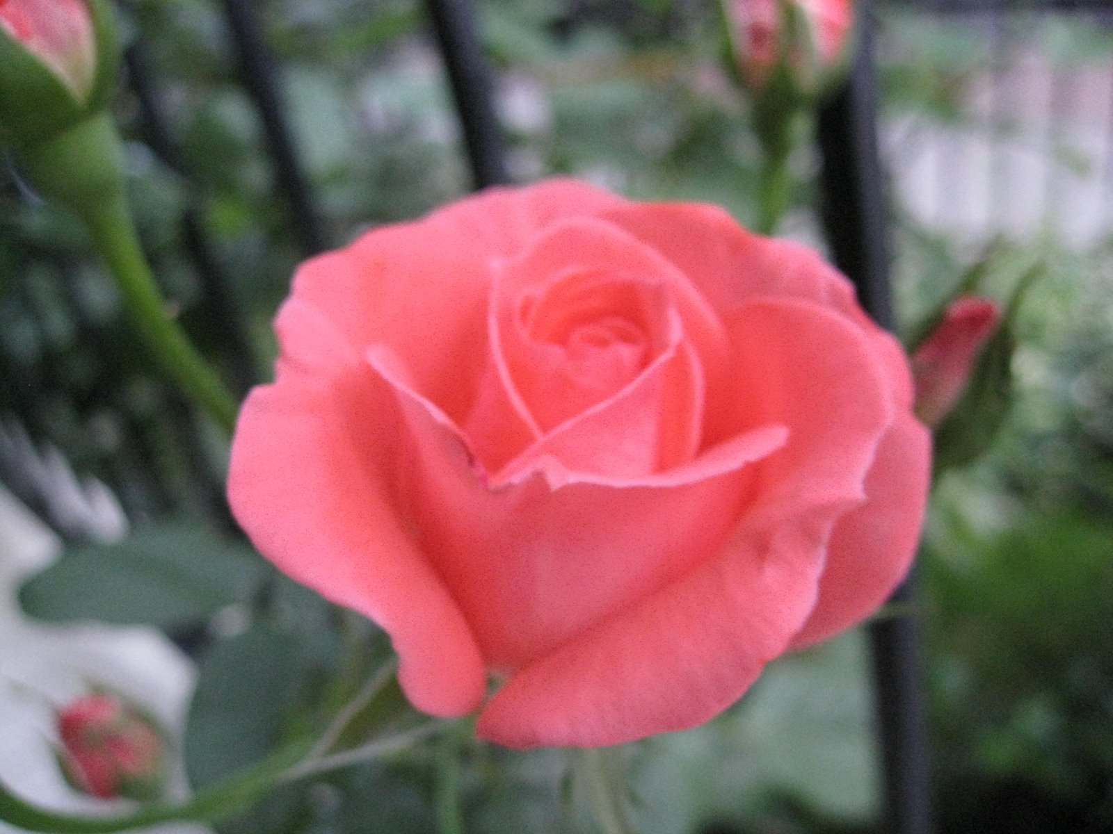[IMG_0644.JPG]