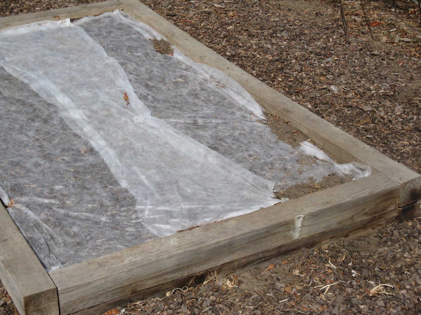 Front Range Food Gardener Time to seed early vegetables