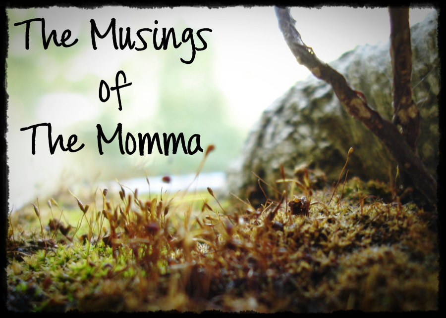 The Musings of The Momma