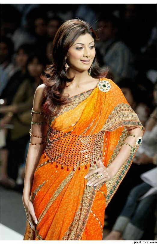 Creación de Bollywood del sur de Asia listos hizo Sari de seda cruda Blusa Prenda para el torso Choli 4004 