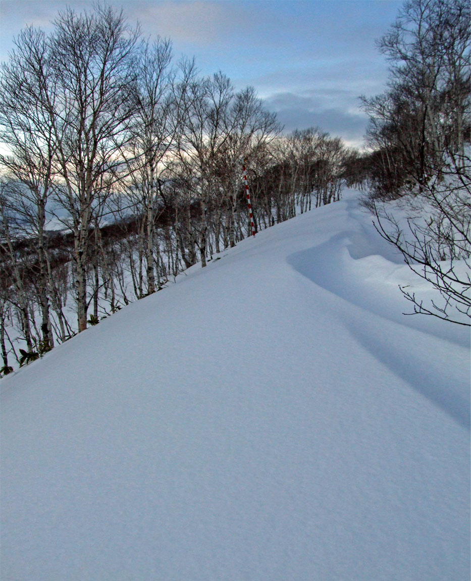 [DSCF1057.jpg]