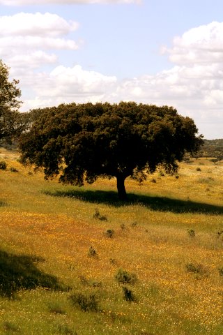 [IMG_0075.JPG]