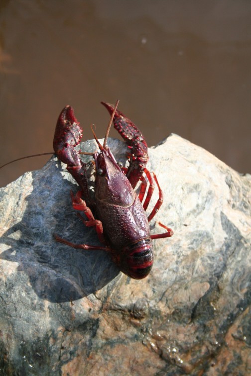 [IMG_8497.JPG]