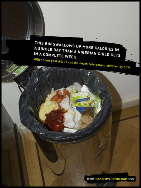 [bin.jpg]