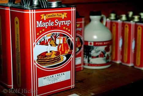 Canada+maple+syrup+buy