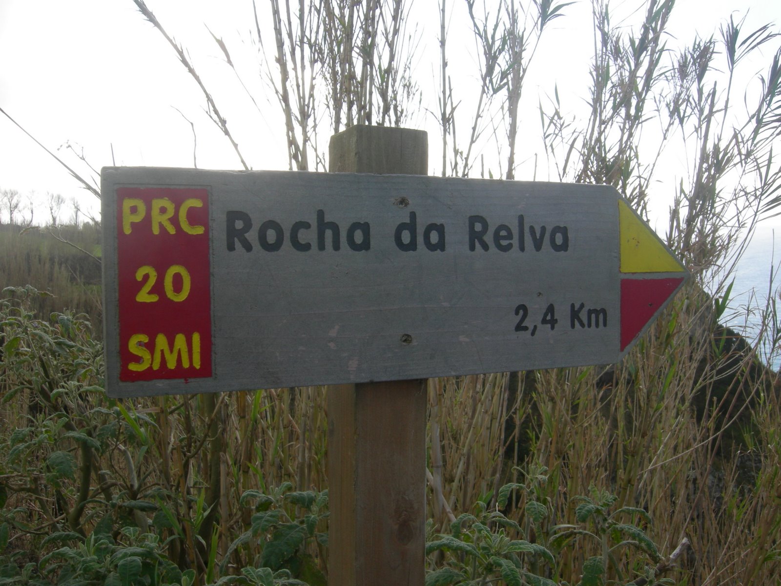 [DSCN0784.JPG]
