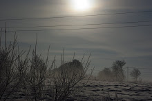 Vinter på torpet