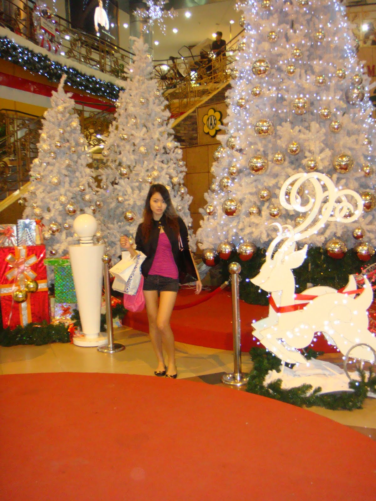 [DSC03212.JPG]