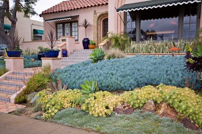 Healthy Homes decoration