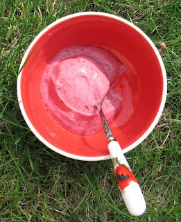 cranberry ice cream