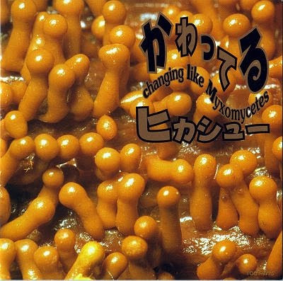 album cover of Kawatteru