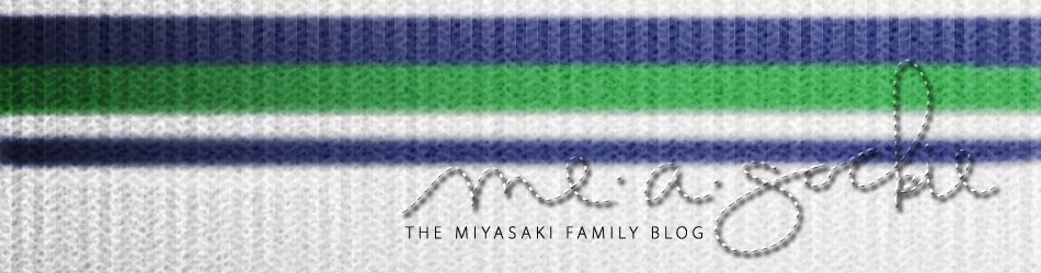 Me-A-Sockie - The Miyasaki Family Blog