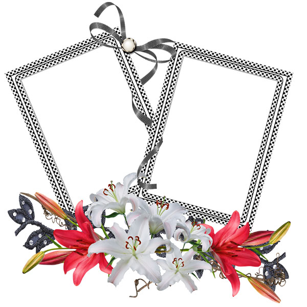 Just My Stuff by Nannie Bernie mainly black and white double frame