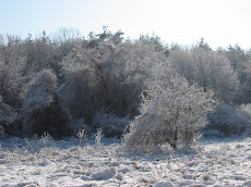 Round Meadow