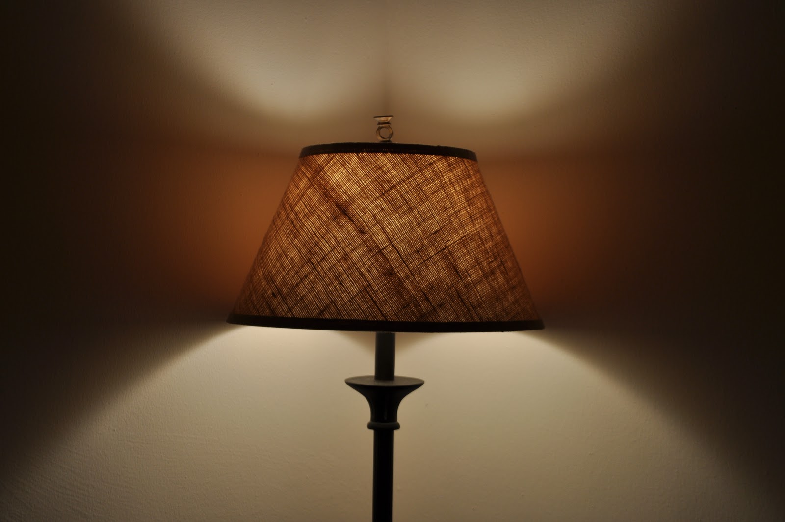 Gonzalo's Blog Natural vs. Artificial Light