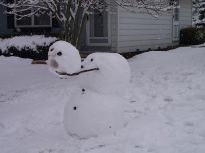 Funny Snowman Funny Snowman