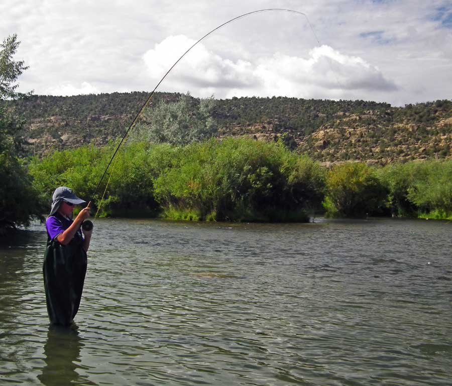 Adventures of Kim and Sam: Jonathan Fishes the San Juan River with