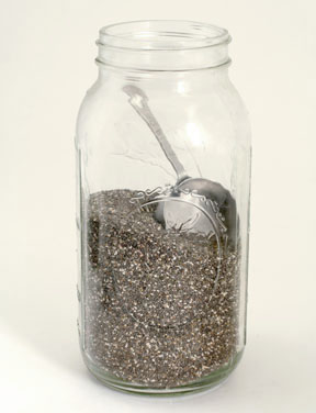 [chia+jar+sm.jpg]
