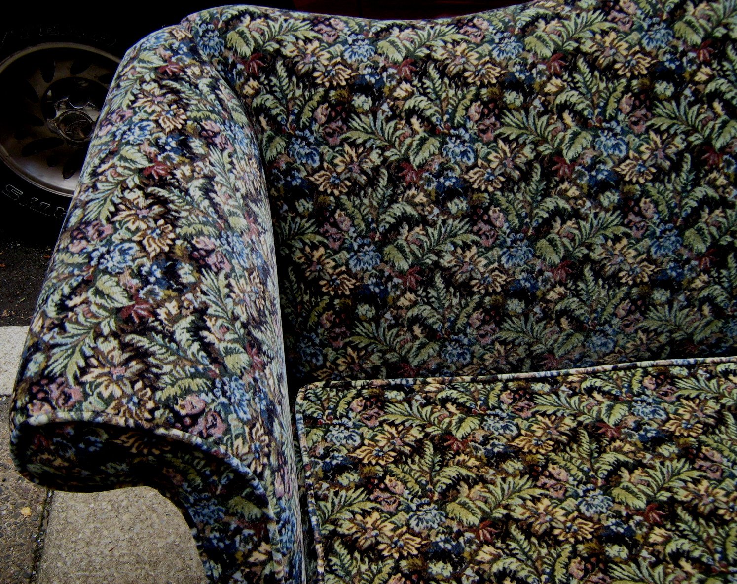 [camelback+close.jpg]