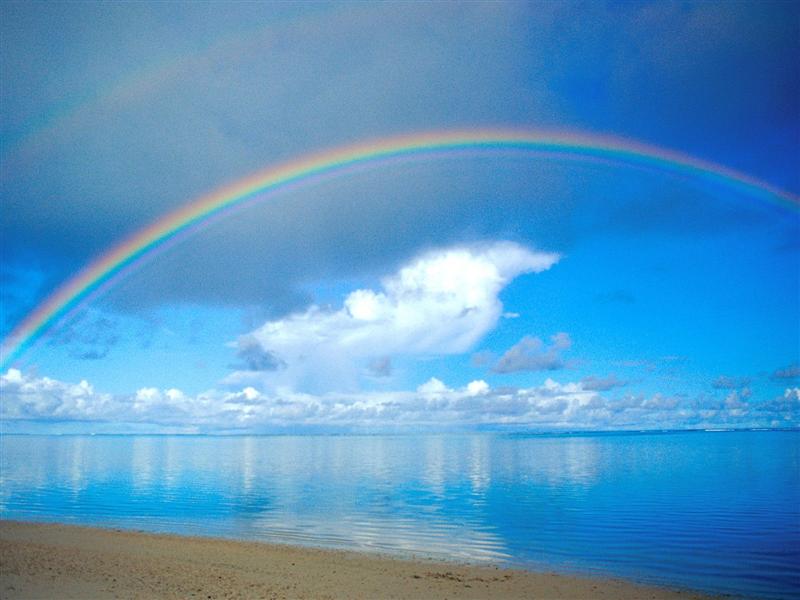 love and rainbows