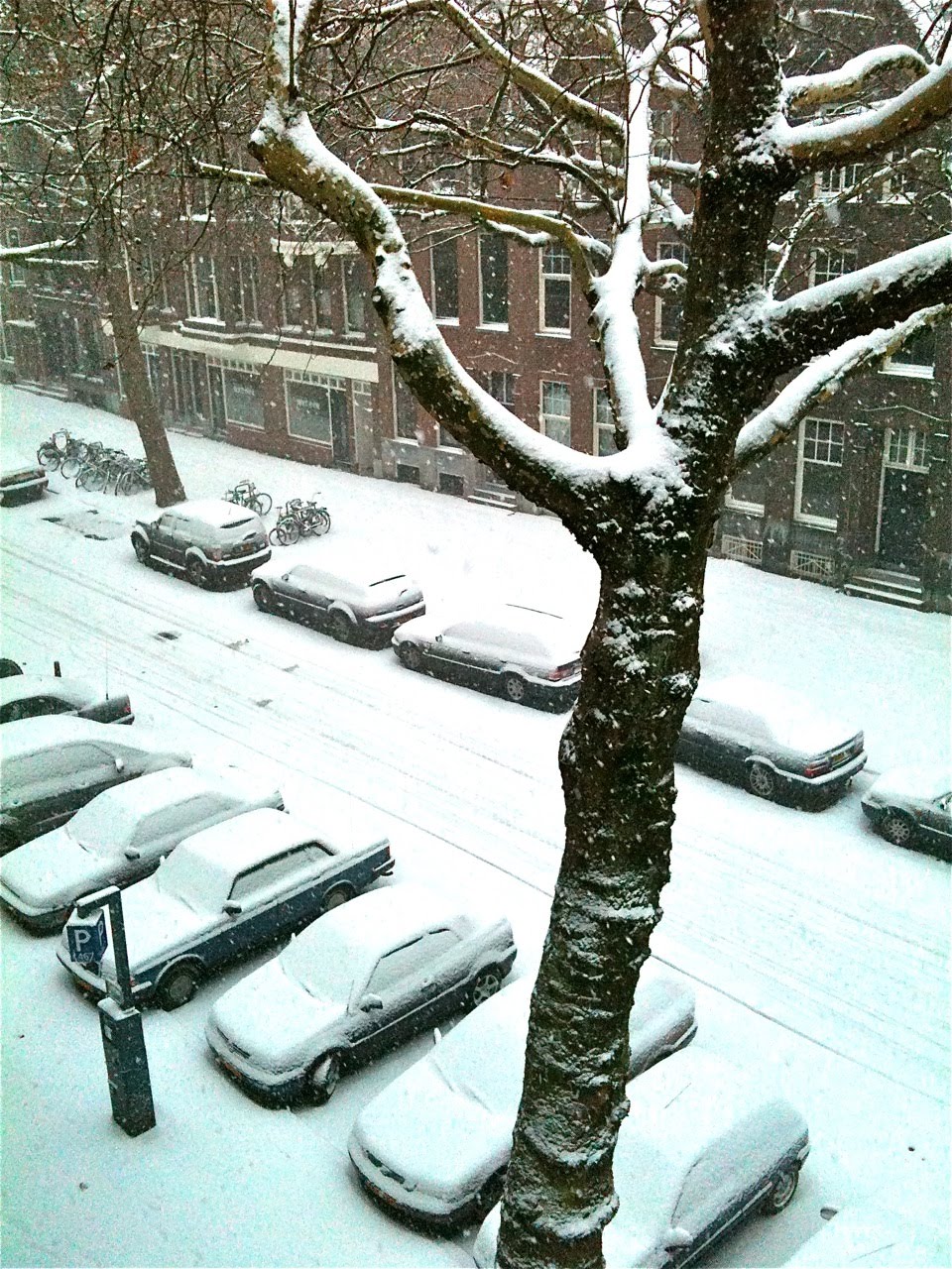 [IMG_0857-792162.jpeg]