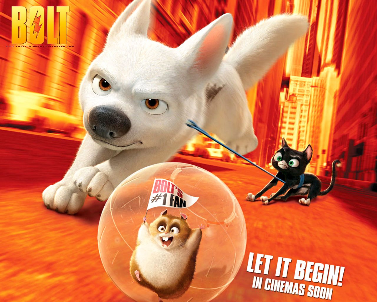 Film Bolt