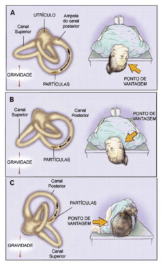 Pics firegirls erotic stories free hardcore pussy insertion clothed female masseuse naked man video Girls amateur teen sex beach southern brooke pussy pics free beach party girl sex videos