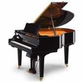 Polish pianist Romuald Koperski picture,Polish pianist Romuald Koperski images,piano concert world record,piano picture,piano images.