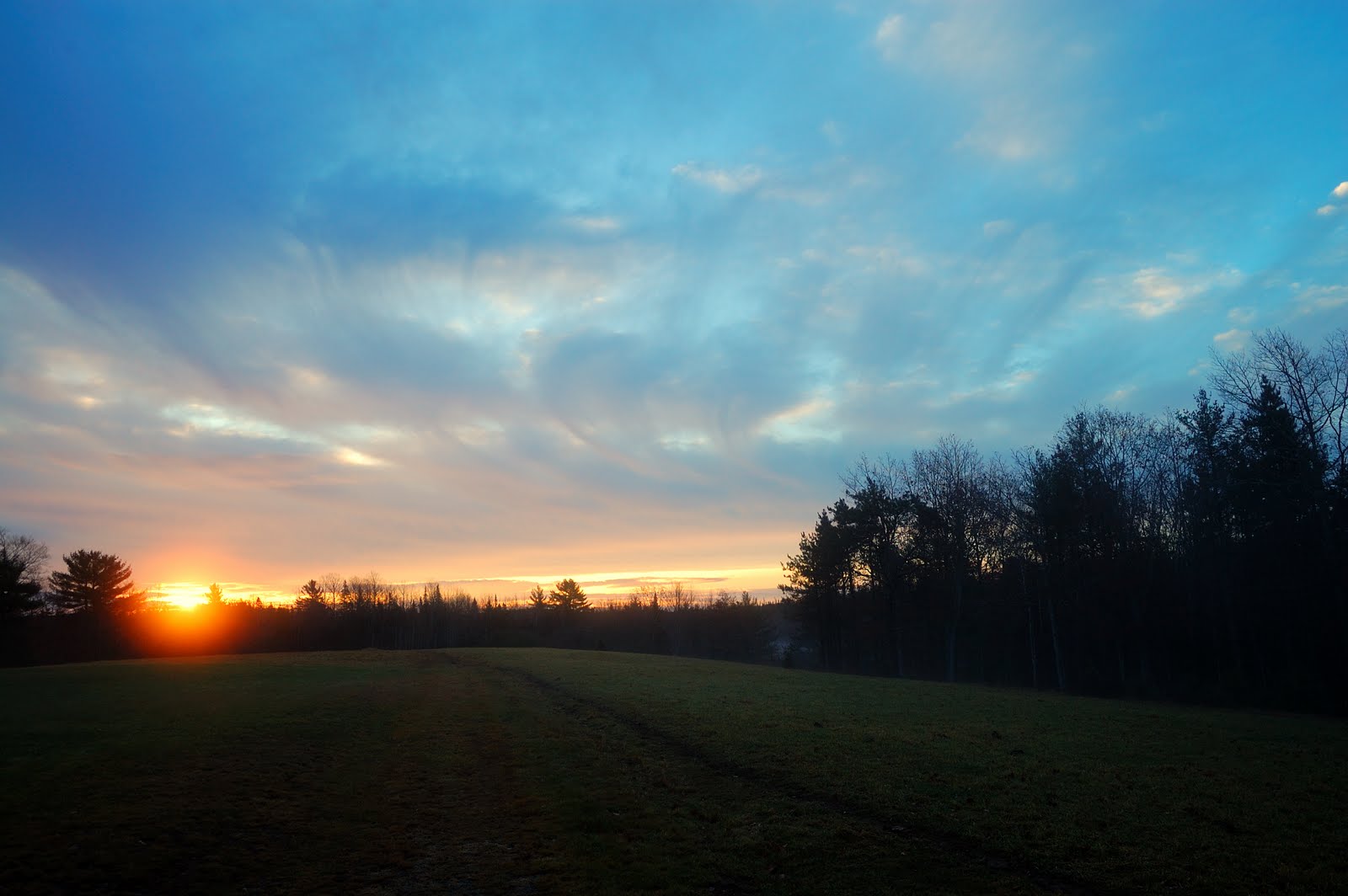 My Life in Pictures: Mid-November mist