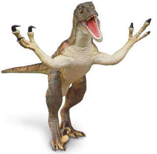 baby velociraptor
