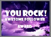 You Rock! Awesome Follower Award :D