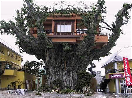 tree house