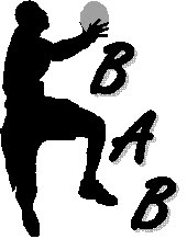 LLIGA BAB 20010-11
