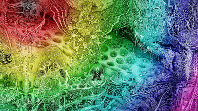 Rainbow Colors Wallpaper