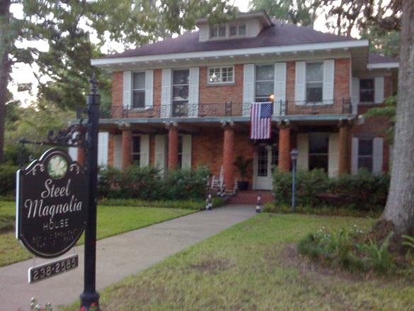 [Steel+Magnolia.jpg]
