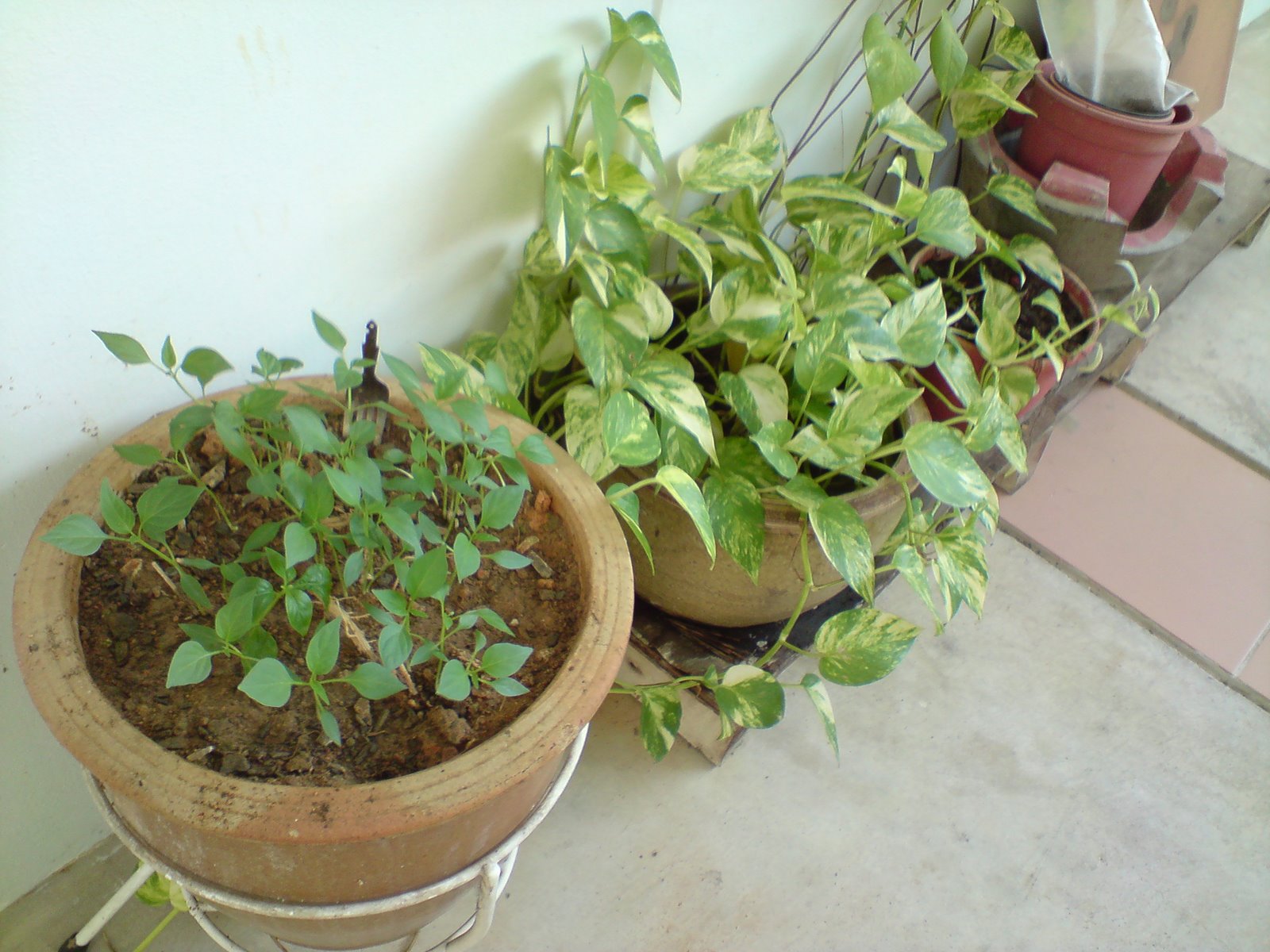 [DSC00739.JPG]