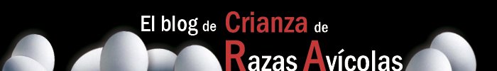 Crianza de Razas Avícolas
