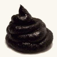 Steaming turd