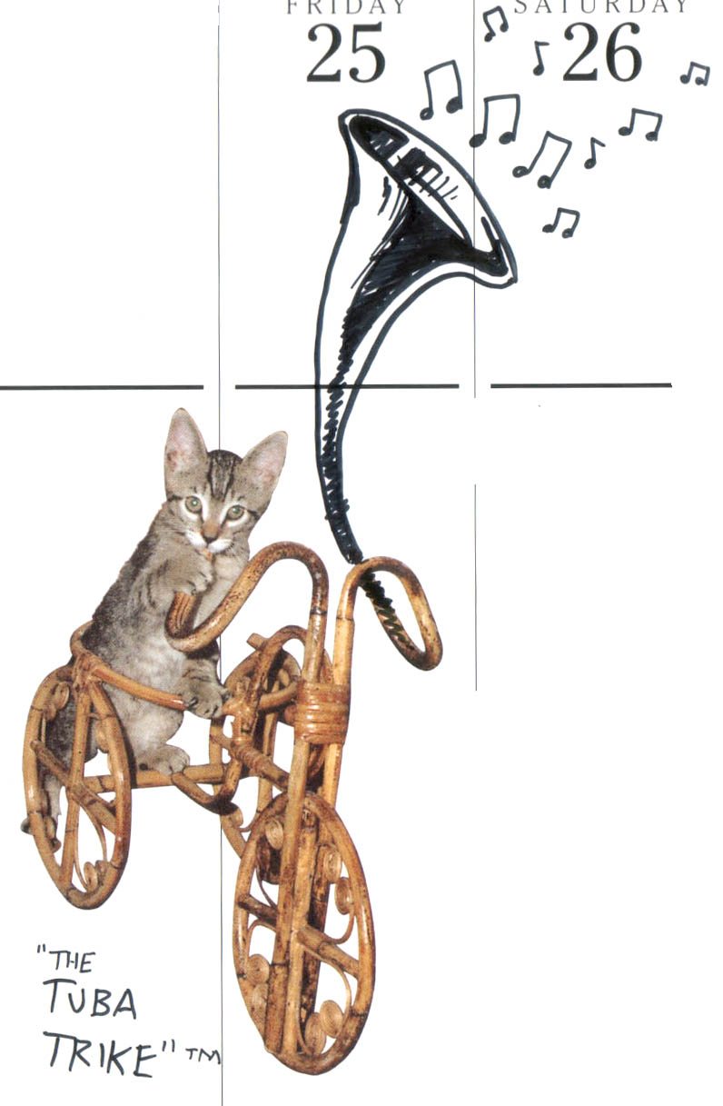 [tuba_cat.jpg]