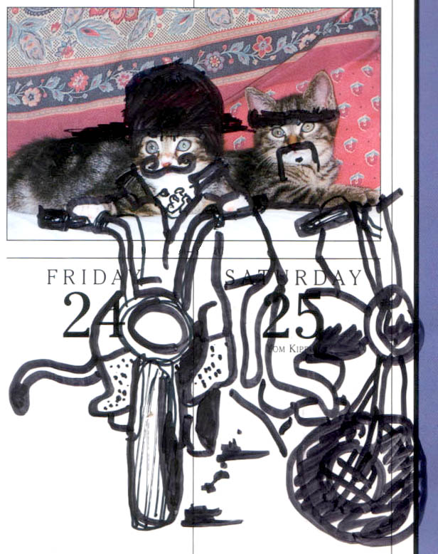[motorbike_cats.jpg]