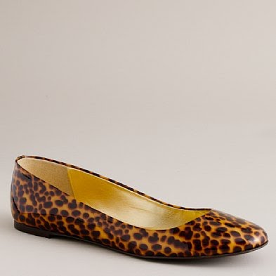 [tortoise+flats.bmp]