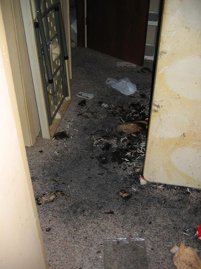 [House+fire+4+-+small.JPG]