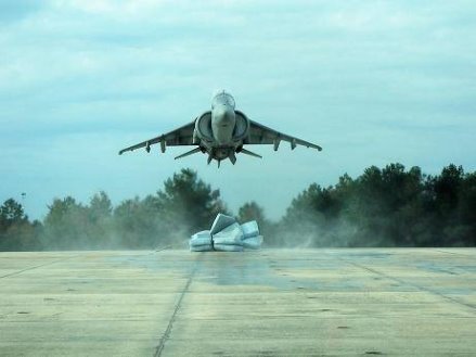 [Harrier+2.jpg]