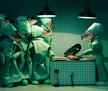 [Fish+surgeon+at+work.jpg]