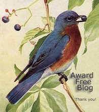 This Is An Award &    Tag Free Blog -   Thank you!