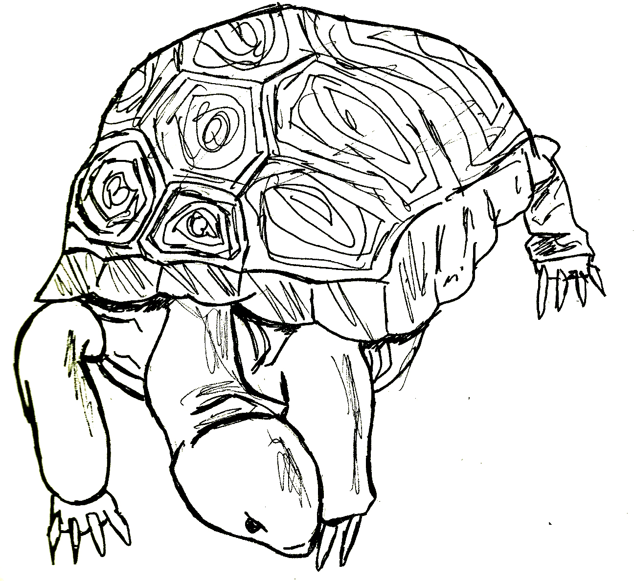 Treble Maker: Paper Zoo Part II : Outlined Animals